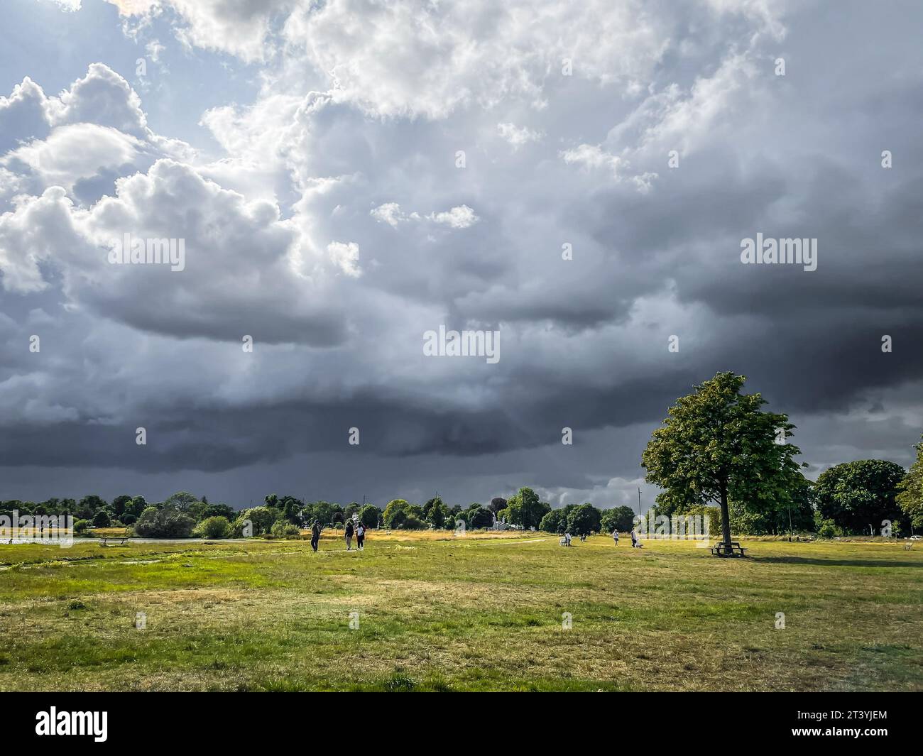 Blick auf Menschen, die an einem bewölkten Tag in Wimbledon Common spazieren gehen Stockfoto