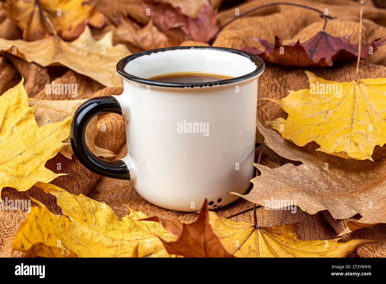 Tasse Kaffee auf Hintergrund gelber Ahornblätter Stockfoto