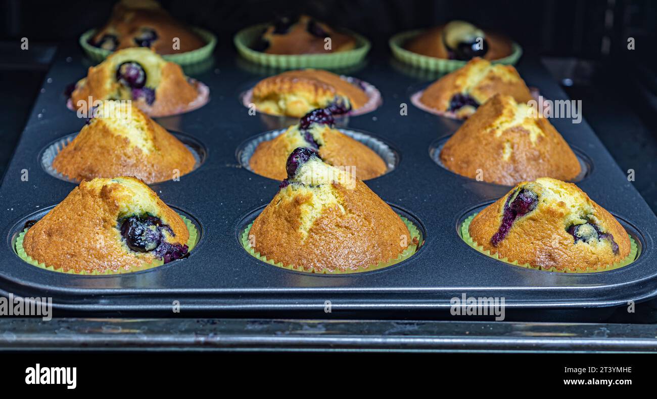 Muffins mit Beeren in einer Auflaufform Stockfoto
