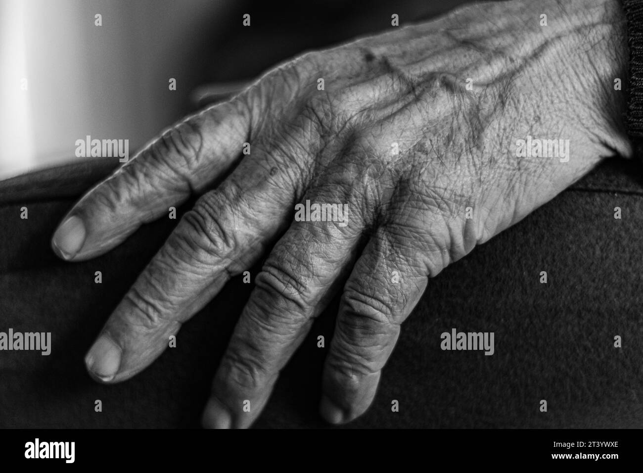 Nahaufnahme einer Hand eines alten Mannes, Schwarzweiß-Foto Stockfoto