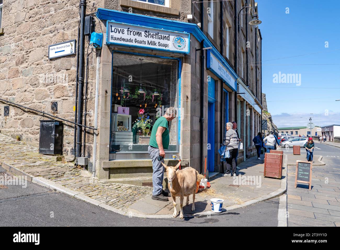 Ziege im Laden in Lerwick, Schottland Stockfoto