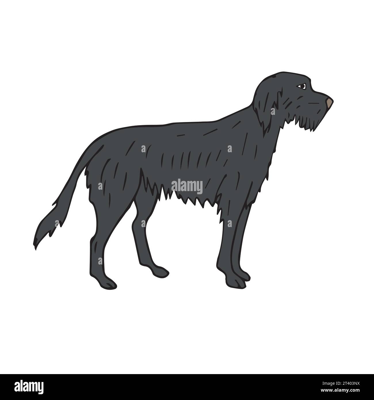 Vektor Hand gezeichnete Kritzelskizze farbiger Wolfshund Hund isoliert auf weißem Hintergrund Stock Vektor