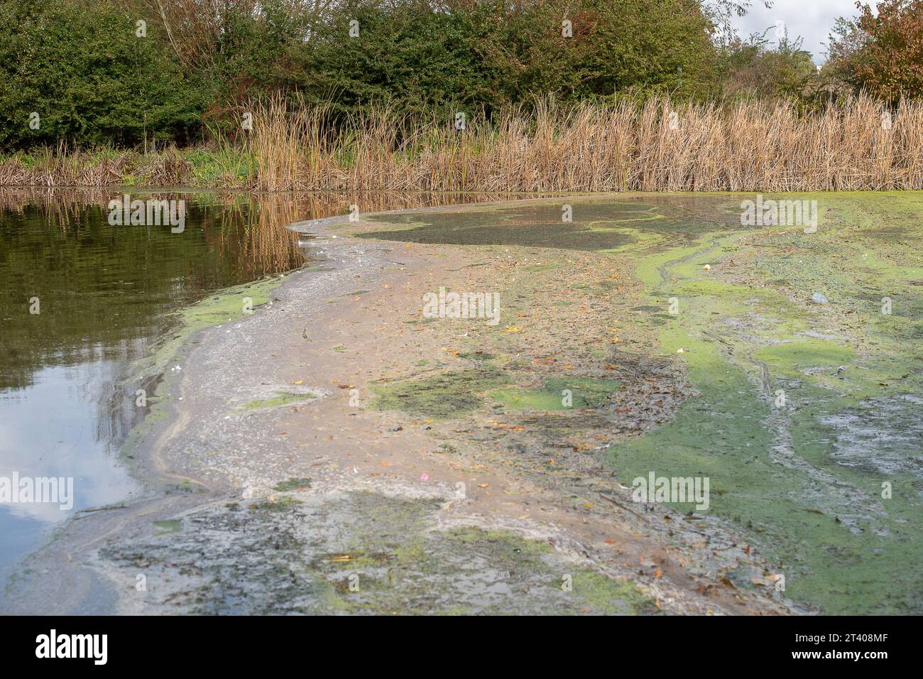 Taplow, Großbritannien. Oktober 2023. Heute gab es eine große Menge weißen Schaum auf dem Jubilee River in Taplow, Buckinghamshire. Der Jubilee River ist ein von Menschenhand geschaffenes Hochwasserschutzsystem, das von der Umweltbehörde verwaltet wird und bei starkem Regen überschüssiges Wasser aufnimmt und so dazu beiträgt, Windsor, Maidenhead und Dorney vor Überschwemmungen zu schützen. Pflanzenschutt, brauner Schlamm und Entengras haben sich hinter dem gelben Bummel am Wehr zurückgebildet, aber im eigentlichen Wehr am Jubliee River und danach gab es viel mehr weißen Schaum als sonst auf der Oberfläche des Flusses heute. Es ist möglich, dass dies der Fall ist Stockfoto