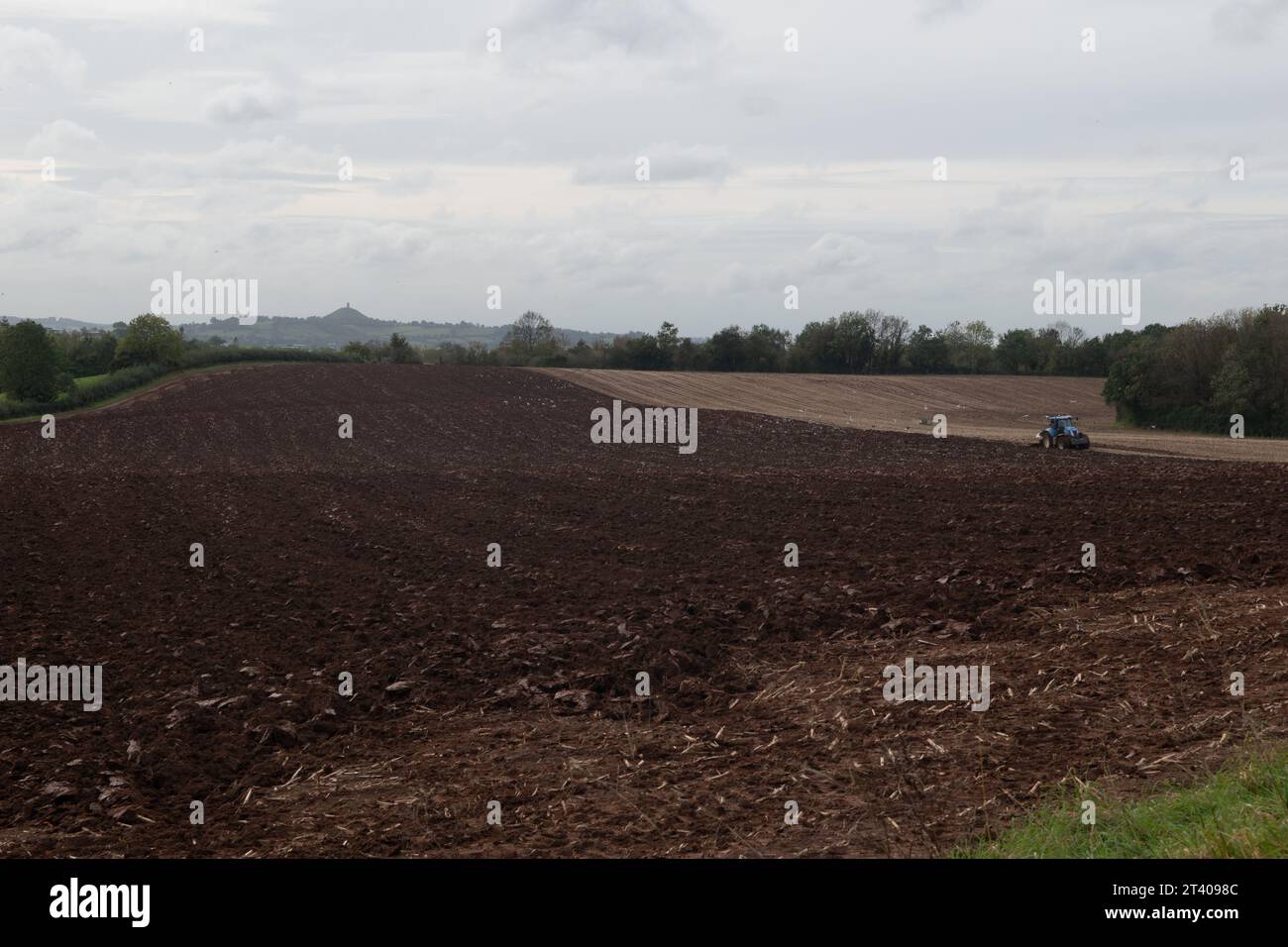Er pflügt ein Feld am Rande von Wells, Somerset, England Stockfoto