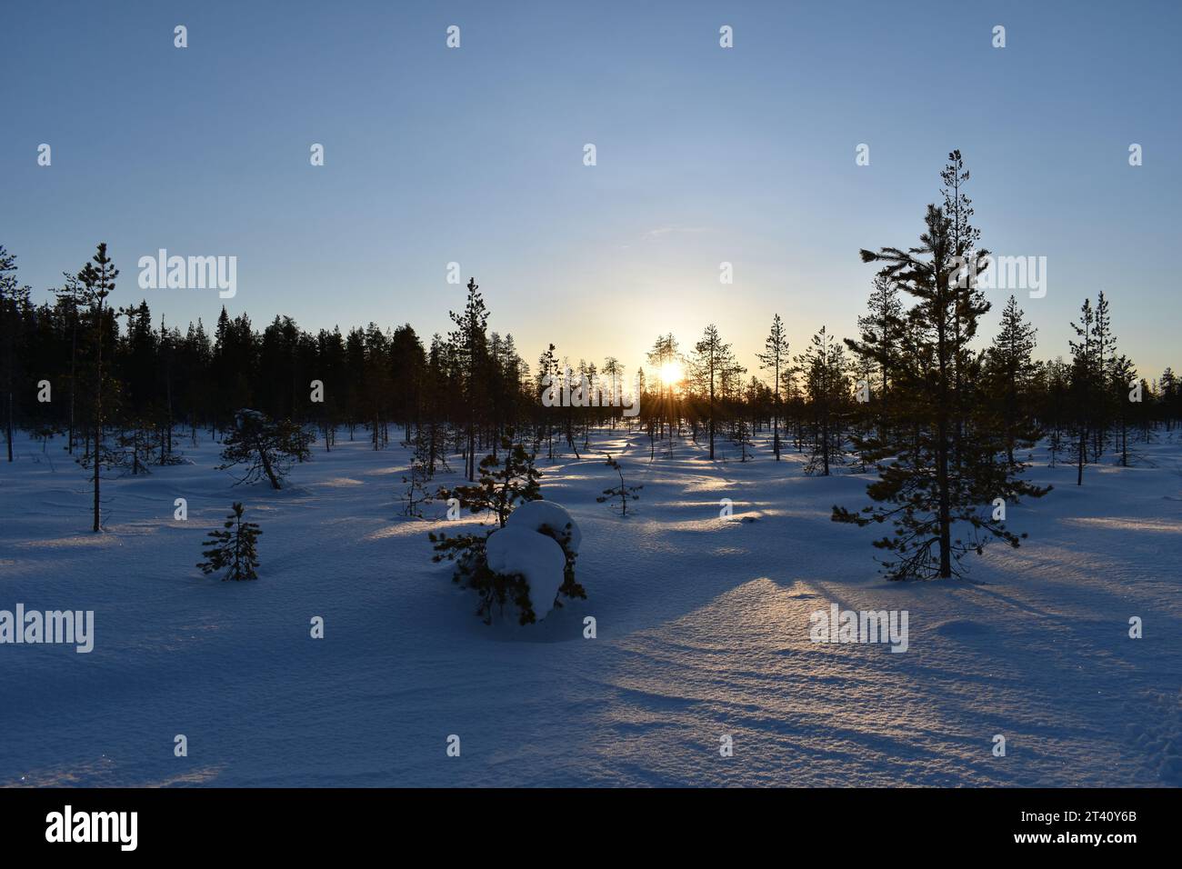 Hebel du soleil en Laponie Stockfoto