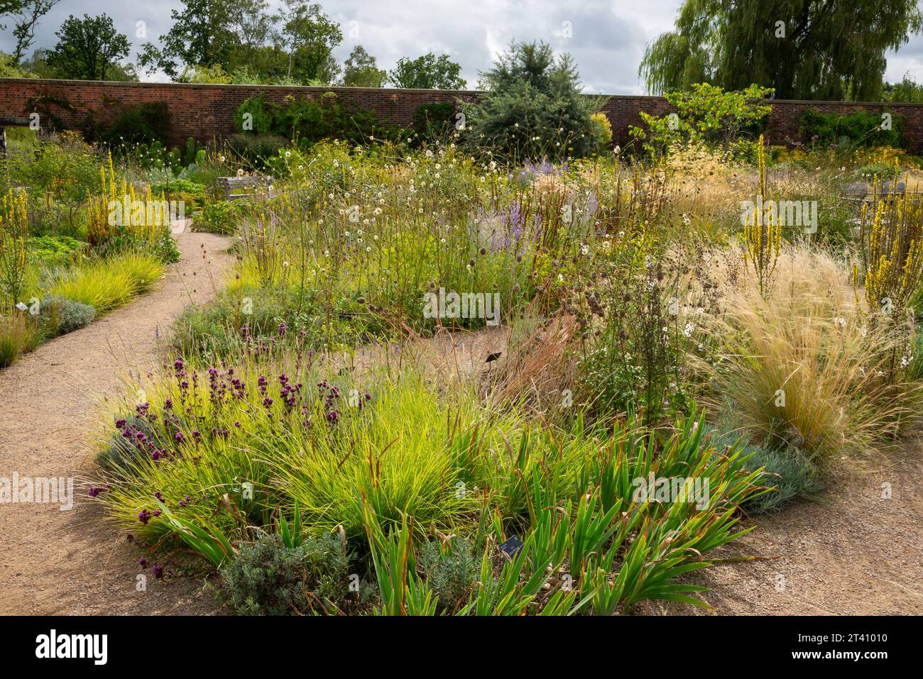 Sommerpflanzen im Paradise Garden bei RHS Bridgewater, Worsley, Manchester, England. Stockfoto