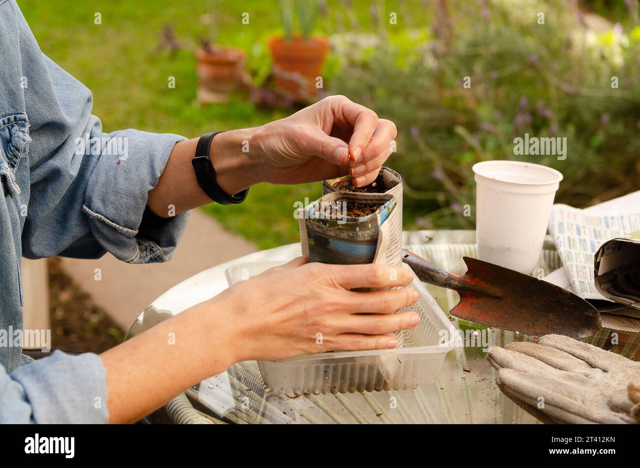 Gartenarbeit mit recyceltem Material. Eine Frau, die Samen in Töpfen aus Zeitungsblättern im Garten sät. Stockfoto