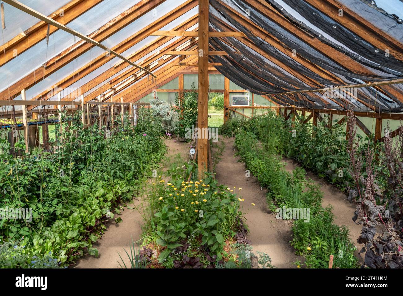 Greenhouse in der Minam River Lodge, Oregon. Stockfoto