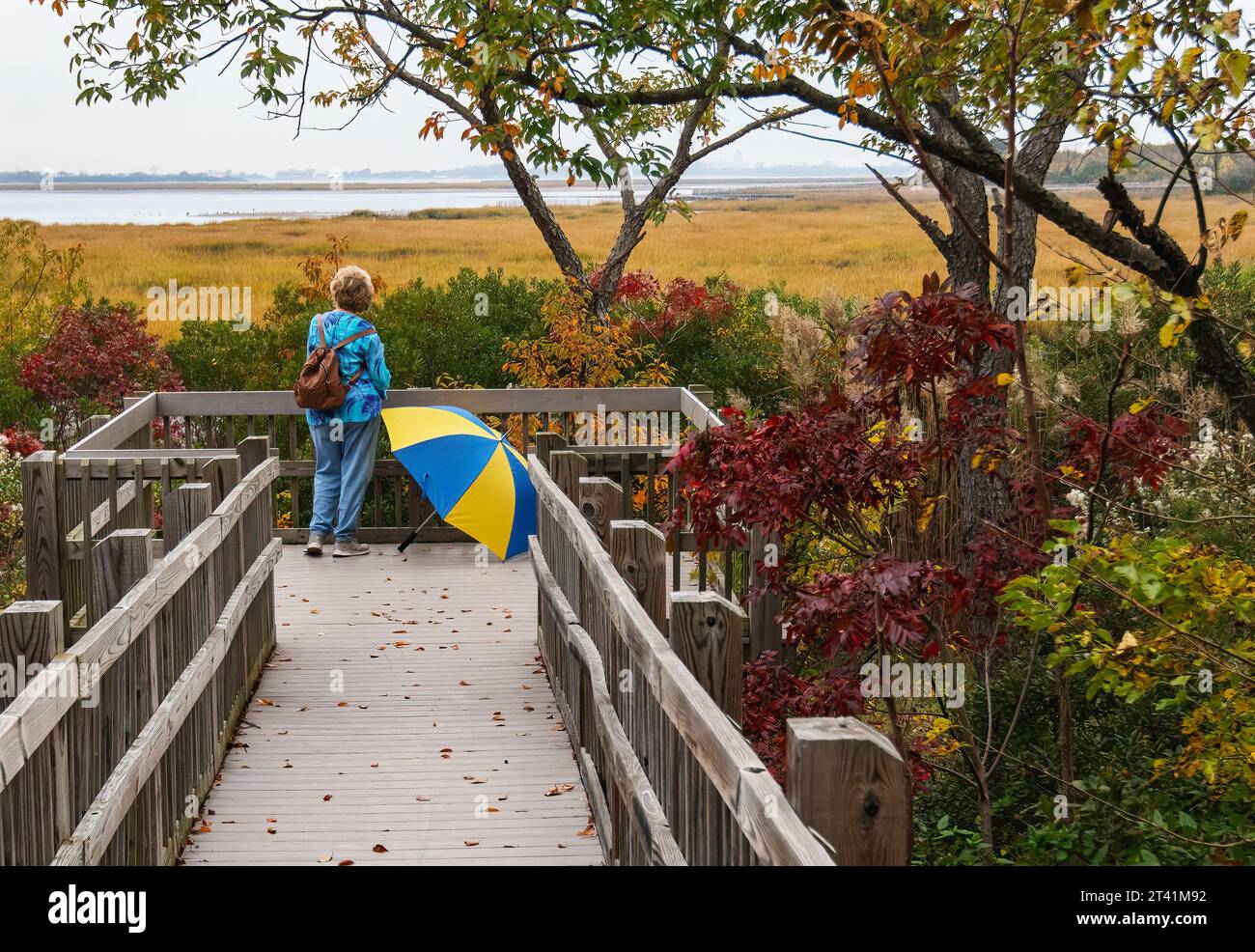 Besucher des Jamaica Bay Wildlife Refuge Ende Oktober Stockfoto