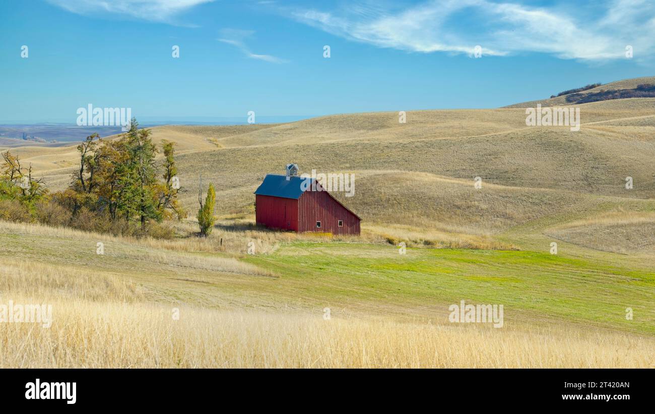 Ein Panoramafoto einer alten roten Scheune steht auf einem Feld in der Nähe von Moskau, Idaho in der Region palouse. Stockfoto