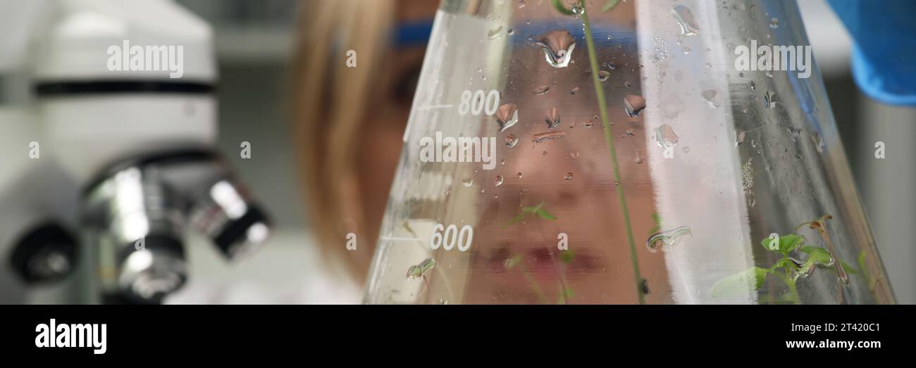 Fokussierter Wissenschaftler hält Glaskolben mit Cannabiskeimen Stockfoto