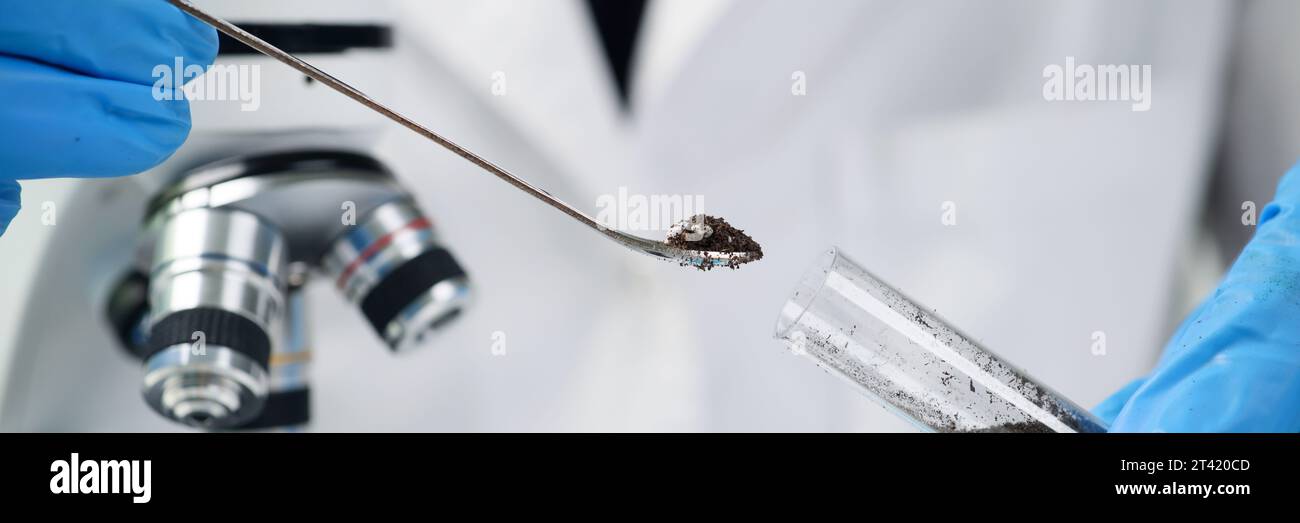 Der Wissenschaftler nimmt mit einem kleinen Löffel schwarzen Boden aus dem Reagenzglas Stockfoto