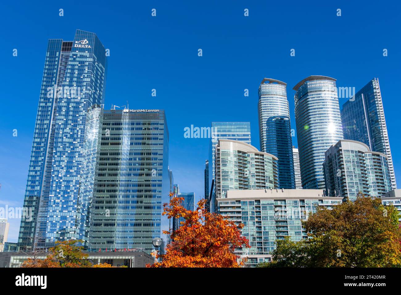 Skyline von Toronto an der Bremner Blvd Street und Lower Simcoe St, in der Nähe von Ripley's Aquarium of Canada mit Blick nach Osten in Toronto, Kanada Stockfoto