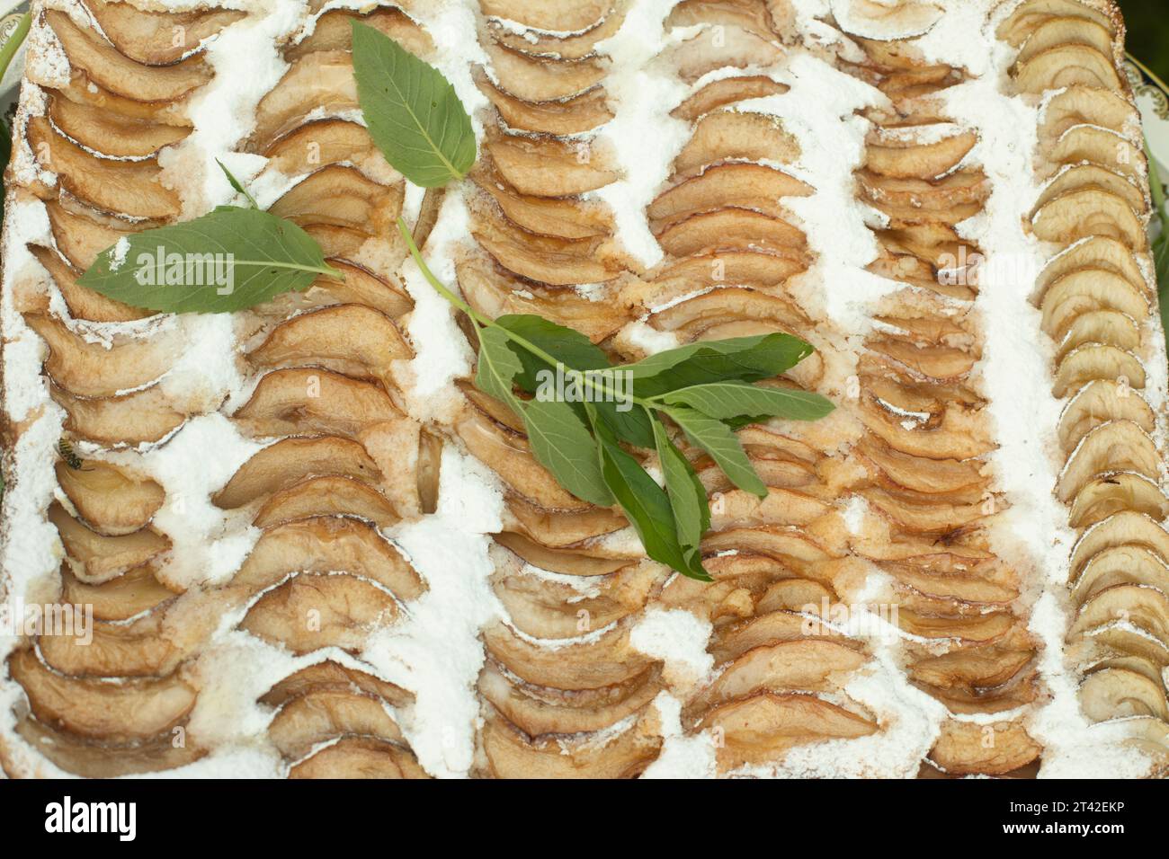 Apfelkuchen. Minze in Apfelkuchen. Köstliches Gebäck. Süßes Essen. Stockfoto