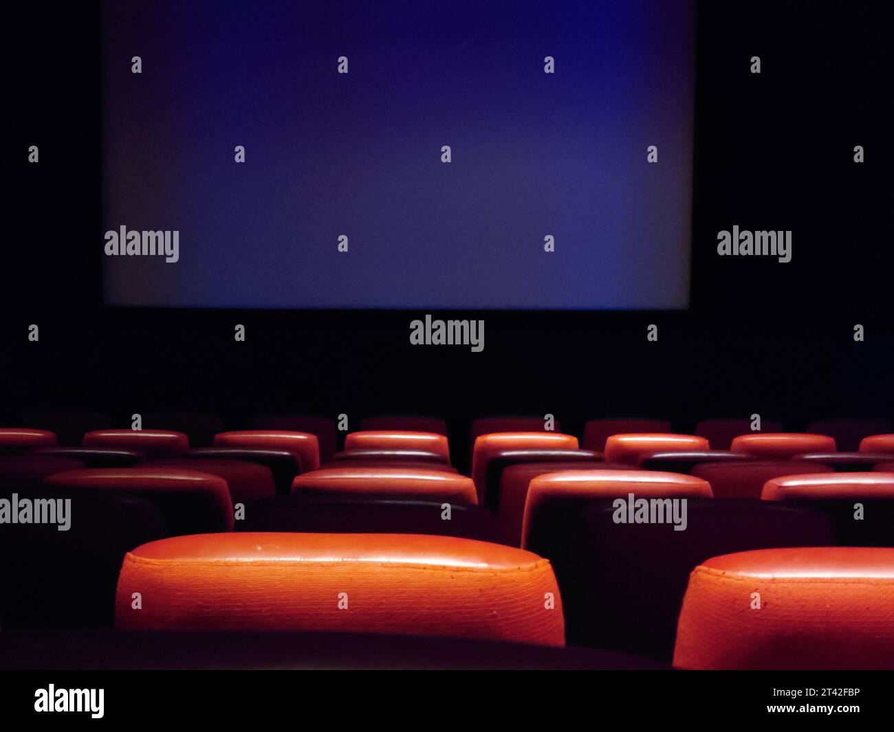 Dieses Bild zeigt ein leeres Theater mit flauschigen roten Ledersitzen, die in ordentlichen Reihen angeordnet sind Stockfoto