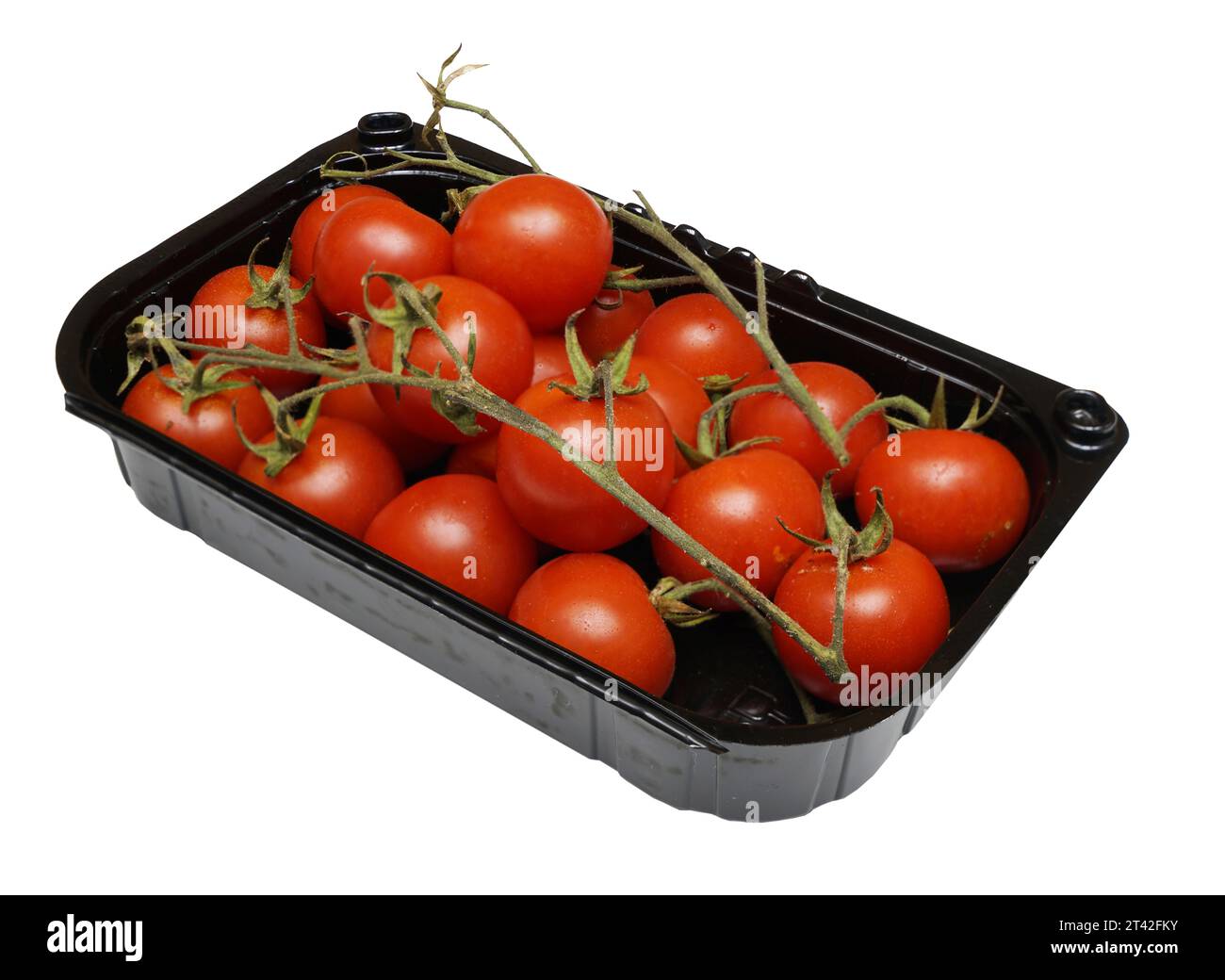 Ein Plastiktablett mit einigen Tomaten auf transparentem Hintergrund Stockfoto