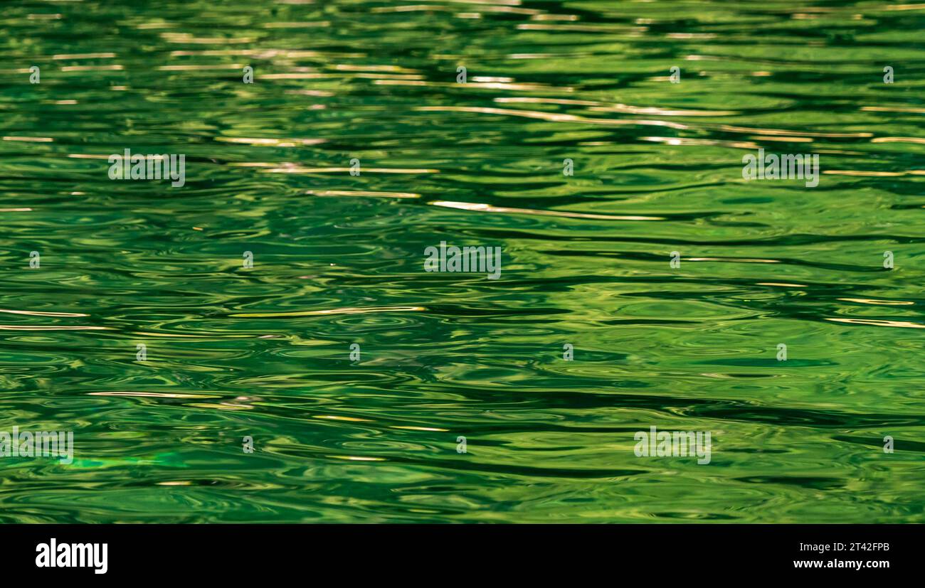 Wasseroberfläche mit grüner Reflexion von Bäumen. Beruhigendes Bild, gut für Hintergrund, Raum für Worte. Stockfoto
