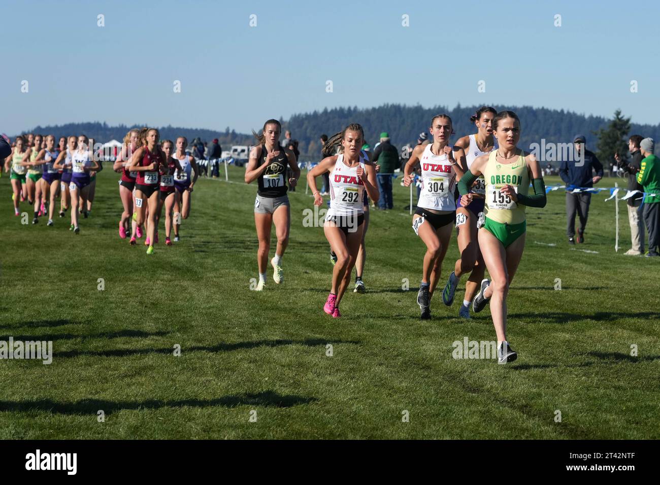 Maddy Elmore aus Oregon (155) und McKaylie Caesar (292) und Anastasia Peters (304) aus Utah laufen am Freitag, den 27. Oktober 2023, in University Place, im Rahmen der Pac-12 Cross Country Championships im Chambers Creek Regional Park. Wasch. Stockfoto