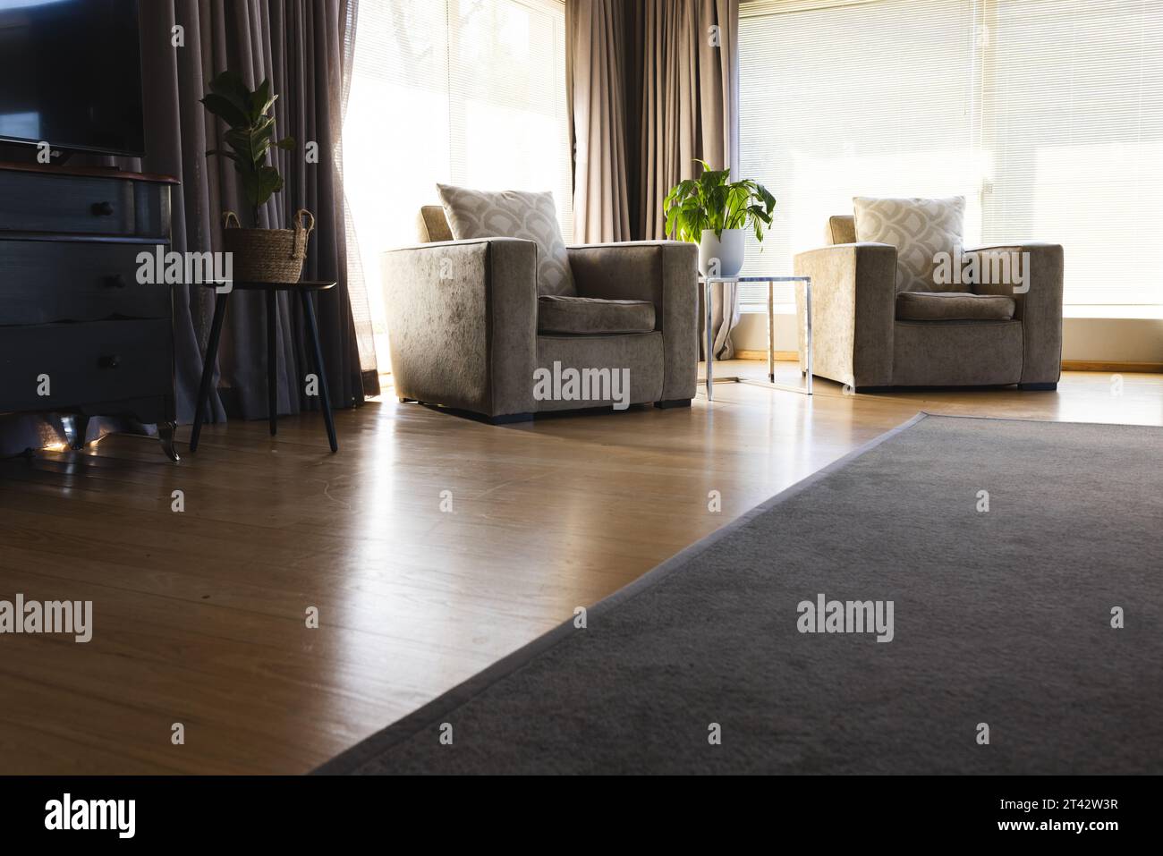 Allgemeiner Blick auf das Wohnzimmer mit Sesseln und Teppich Stockfoto