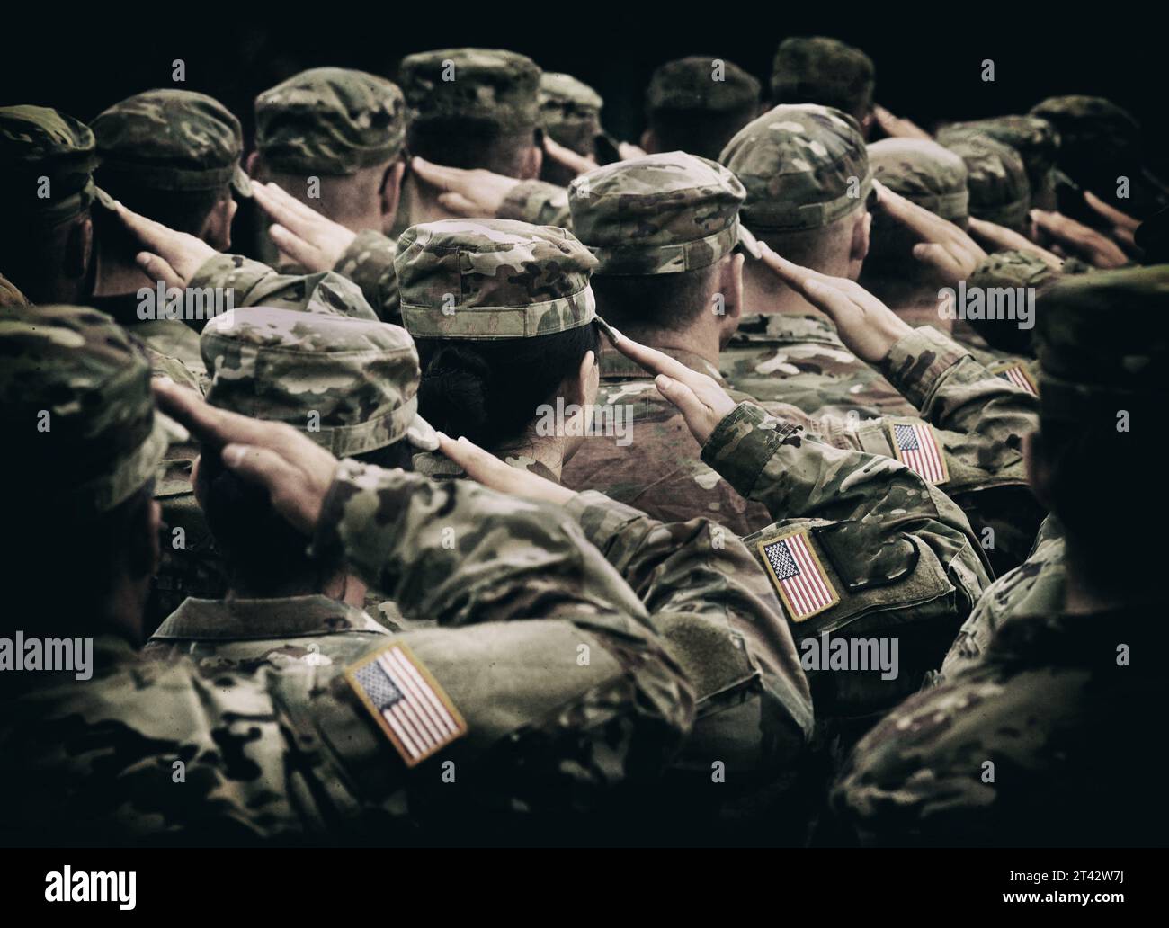 Veteranentag. US-Soldaten grüßen. US-Armee. Militär der USA. Gedenktag. Stockfoto