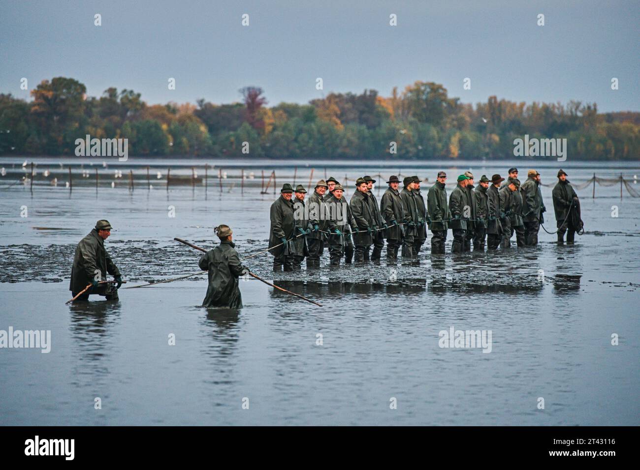 Nova Ves, Tschechische Republik. Oktober 2023. Fischer fischen am 28. Oktober 2023 im Vrkoc-Teich in Nova Ves, Bezirk Brünn, Tschechische Republik. Quelle: Patrik Uhlir/CTK Photo/Alamy Live News Stockfoto