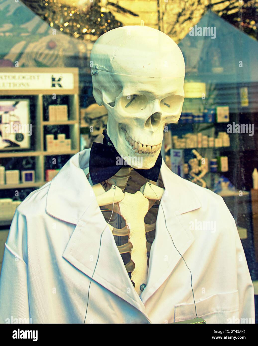 Glasgow, Schottland, Großbritannien. 28 Uhr Oktober 2023. Skelett Doctor oder Laborassistent Halloween-Schilder im Stadtzentrum vor der Veranstaltung. Credit Gerard Ferry/Alamy Live News Stockfoto