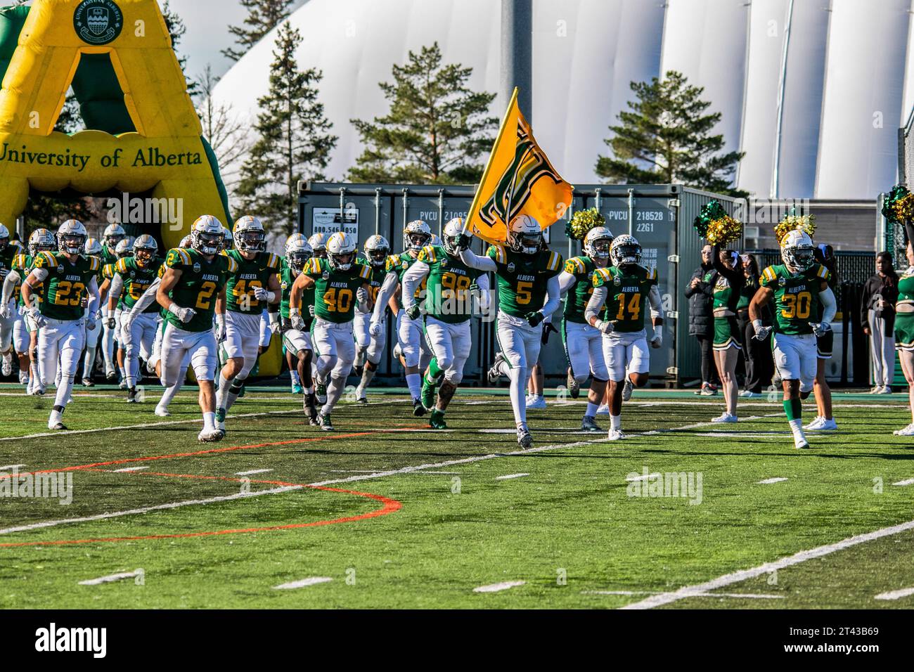 Edmonton, Kanada. 30. August 2023. Die Golden Bears der University of Alberta betreten das Feld vor dem Spiel gegen die University of Saskatchewan Huskies. Beide Mannschaften traten mit 4 Siegen und 1 Niederlage im Foote Field, Edmonton ab, Kanada in das Spiel ein. Endstand Alberta 23:20 Saskatchewan (Foto: Ron Palmer/SOPA Images/SIPA USA) Credit: SIPA USA/Alamy Live News Stockfoto