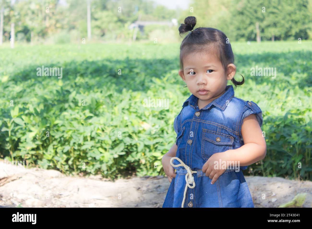 thai-Mädchen im Bohnengarten Stockfoto