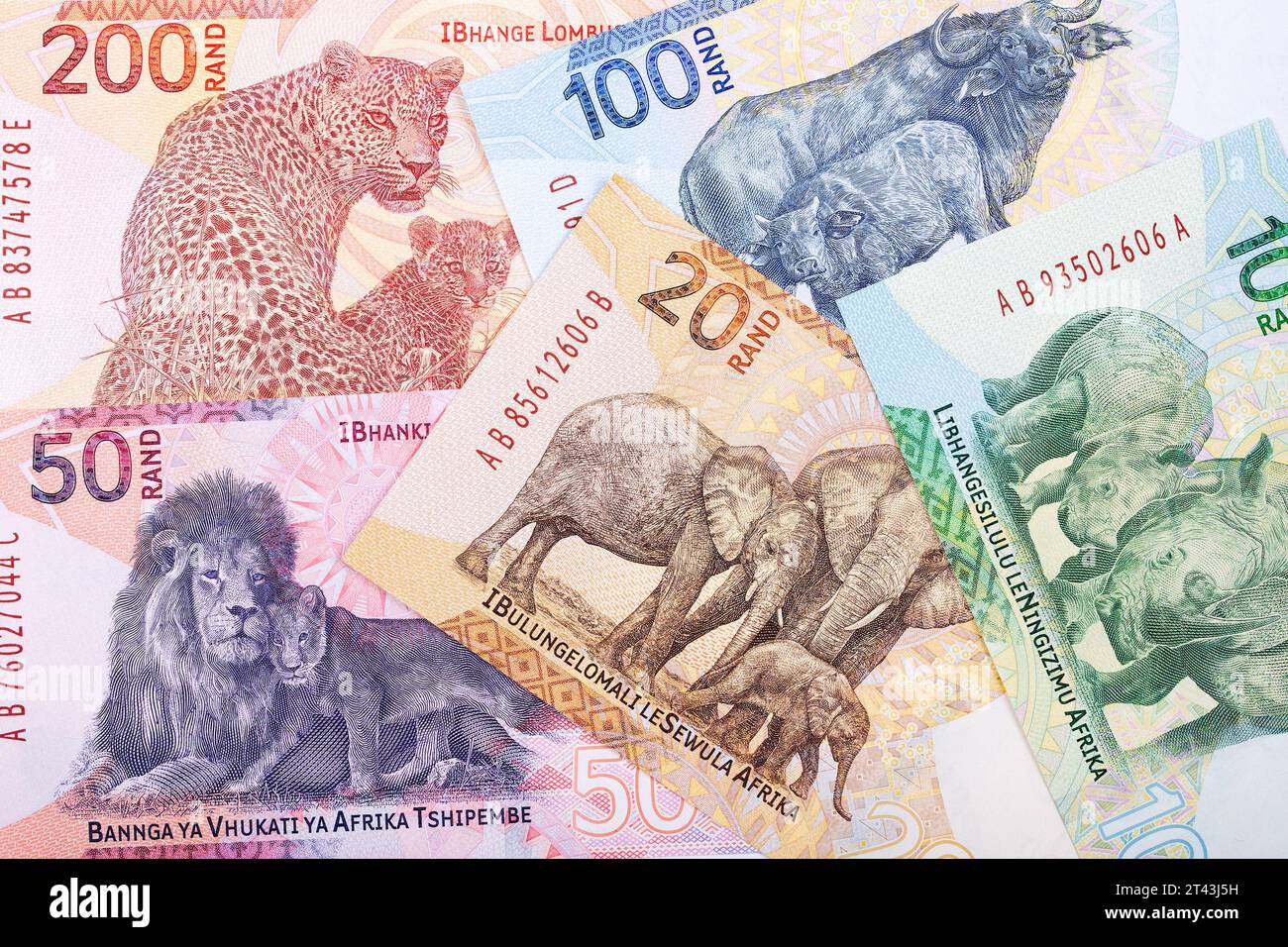 Südafrikanischer Rand eine neue Banknotenserie – geschäftlicher Hintergrund Stockfoto