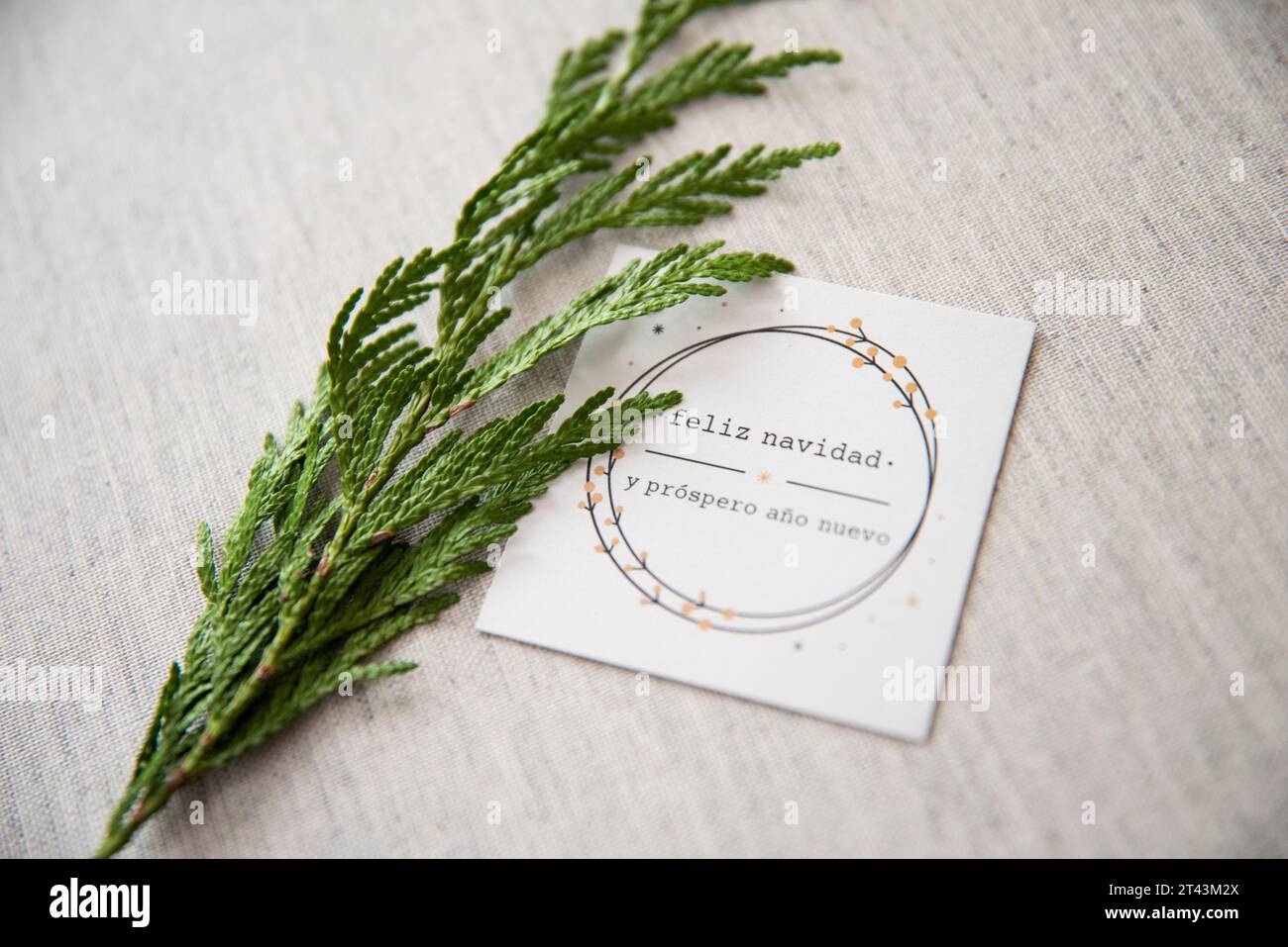 Einfach und von Herzen: Eine „Feliz Navidad“-Karte, eingebettet in festliches Weihnachtsgrün, verbreitet Weihnachtsfreude. Stockfoto