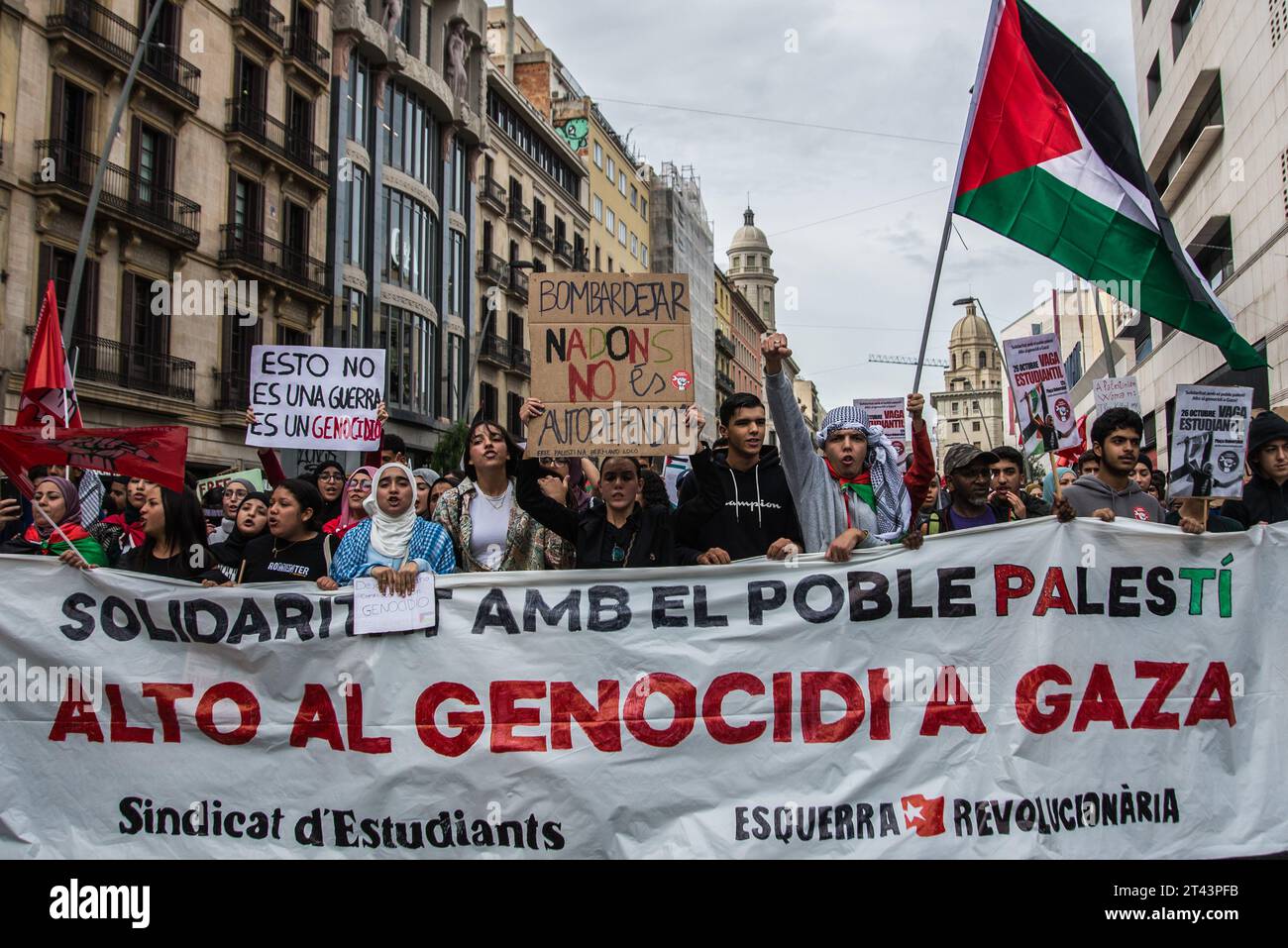 Die Demonstranten halten ein Banner, Fahnen und Schilder, die ihre Meinung während der Demonstration zum Ausdruck bringen. Der Studentenverband organisierte einen Streiktag und eine anschließende Demonstration in verschiedenen spanischen Städten zur Unterstützung der palästinensischen Sache und gegen den Krieg in Gaza. Die Demonstrationen fanden ohne Zwischenfälle statt und unter den Slogans "es ist kein Krieg, es ist ein Völkermord" und "stoppt den Verkauf von Waffen an Israel". In Barcelona versammelten sich zwei- bis dreitausend Menschen mit palästinensischen Fahnen und Fahnen. "Freies freies Palästina" und "Israel-Mörder" waren die am meisten gesprochenen Slogans Stockfoto