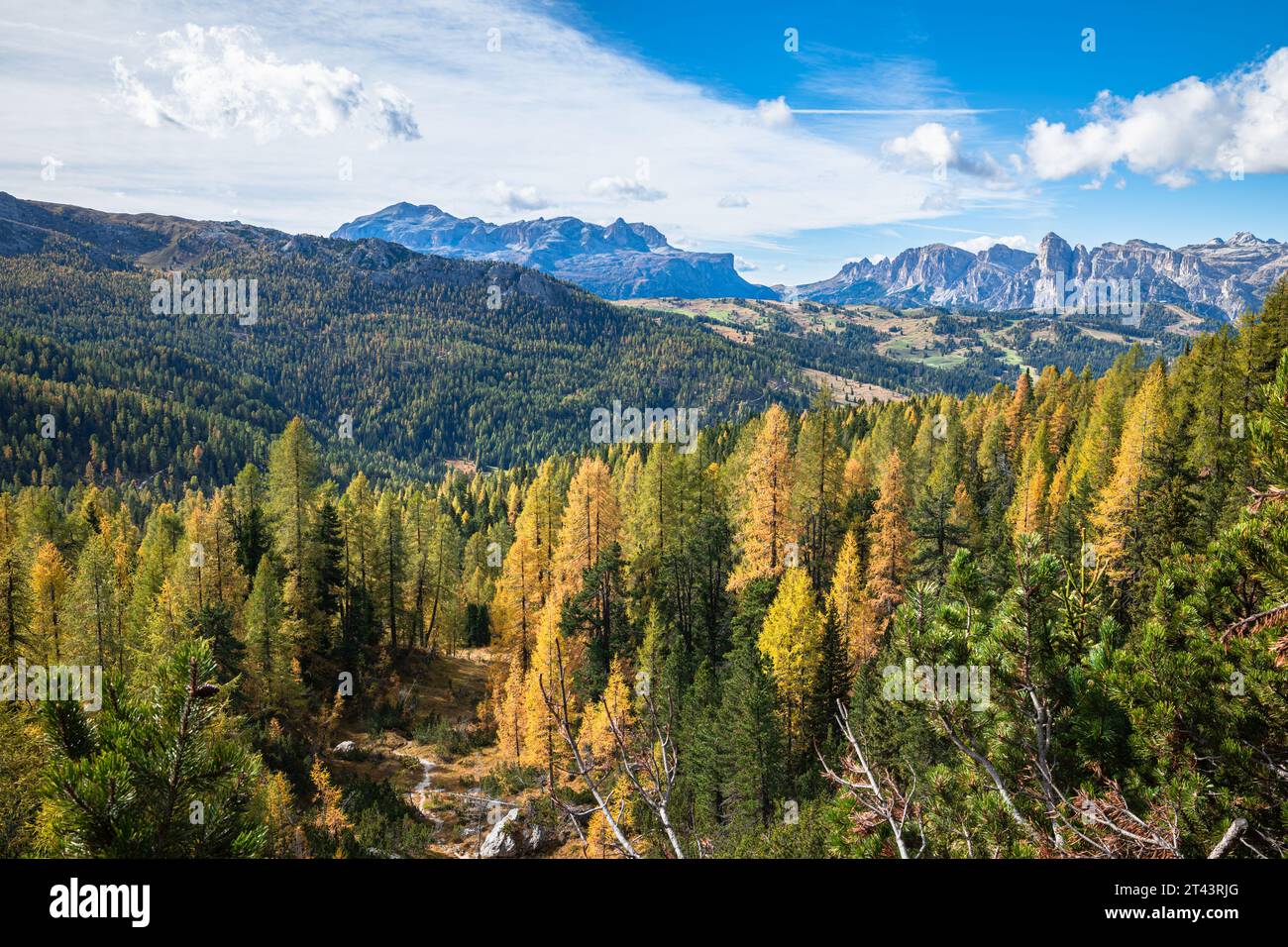 Blick auf einen Lärchenwald und die umliegenden Berge im Herbst in der Nähe von Alta Badia in den Dolomiten Italiens. Stockfoto