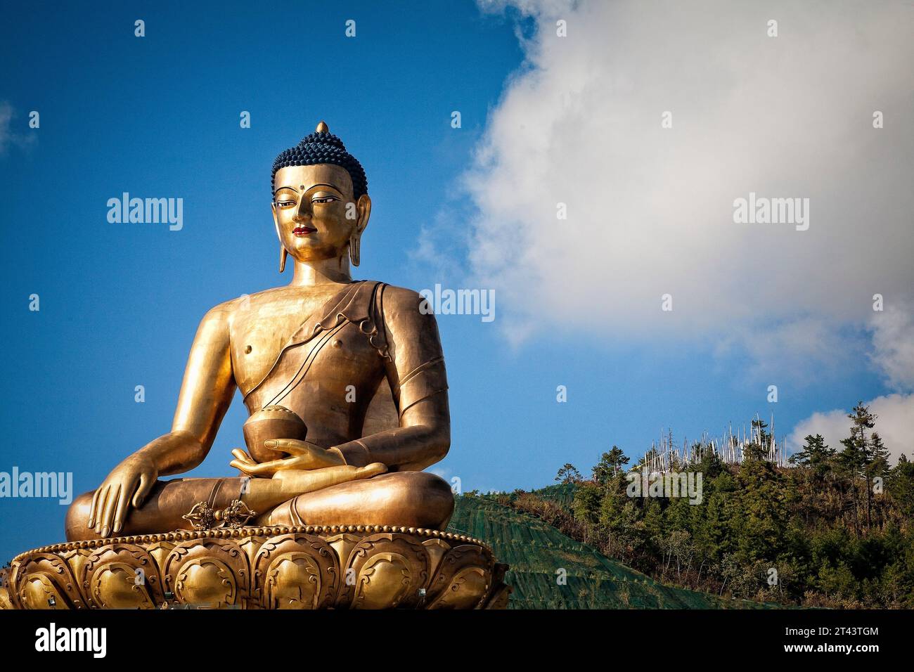 Der große Buddha Dordenma ist eine gigantische (51,5 Meter) Shakyamuni Buddha Statue in den Bergen von Bhutan mit Blick auf den südlichen Zugang nach Thimphu. Stockfoto