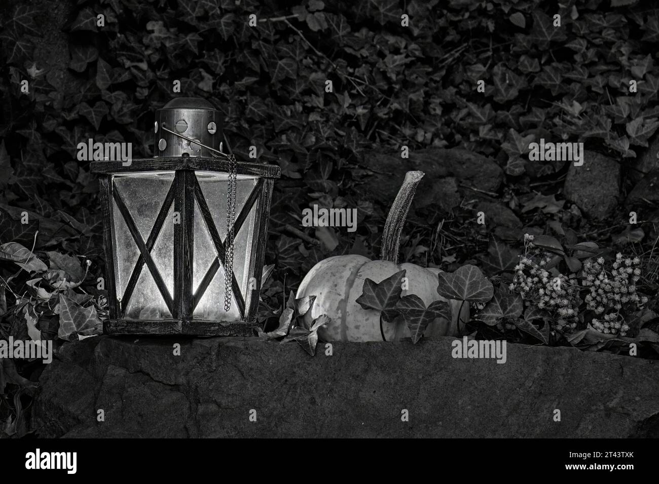 Ein Herbststillleben einer glühenden Kerzenlampe mit einem weißen Kürbis in Schwarz-weiß. Ein guter Look für Halloween. Stockfoto