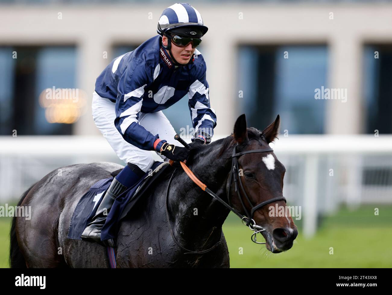 Ein gewisser Junge, der von Jockey George Bass auf dem Weg zum Red Rock Partnership Recruitment Solutions Handicap auf der Doncaster Racecourse gefahren wurde. Bilddatum: Samstag, 28. Oktober 2023. Stockfoto