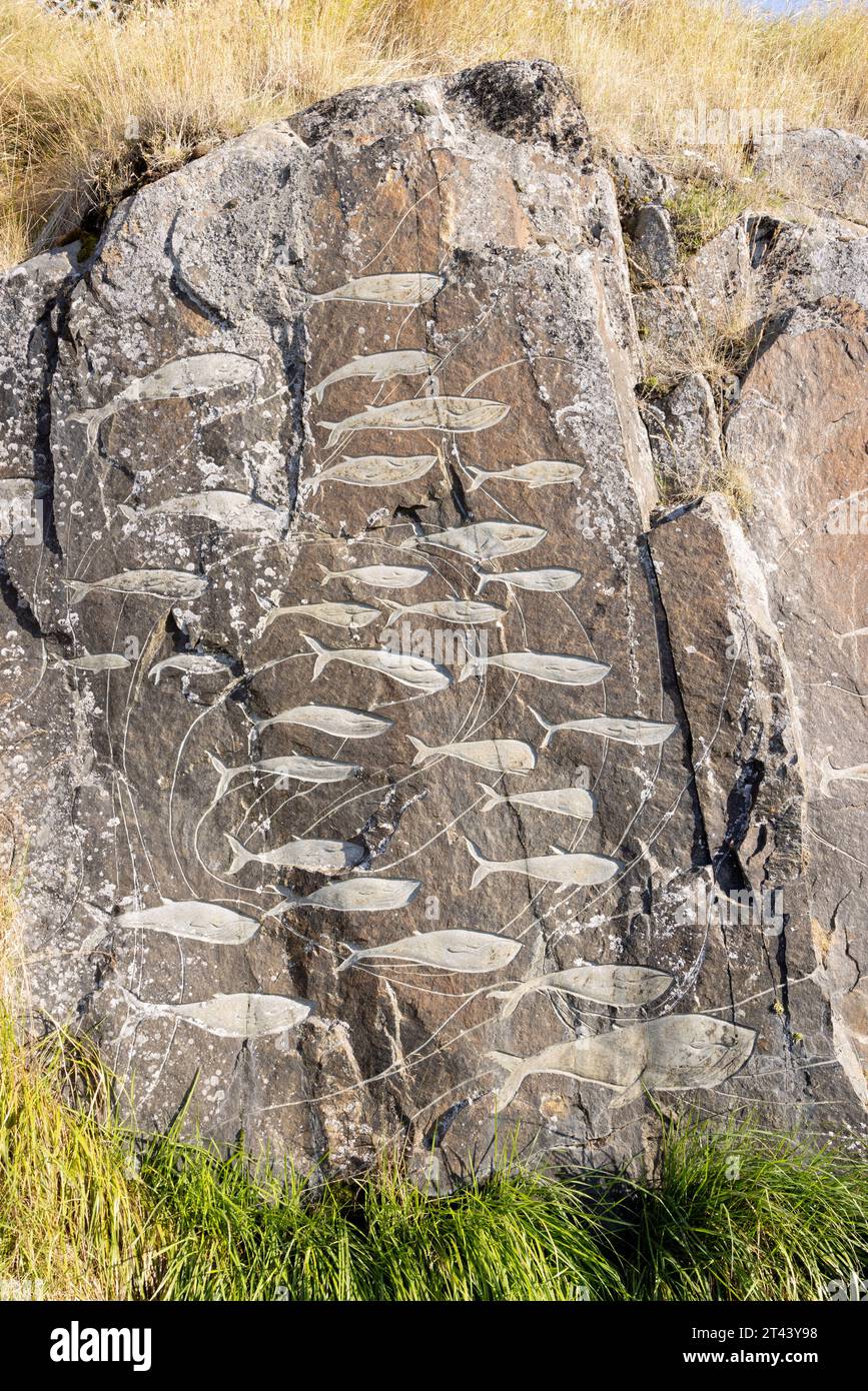 Traditionelle grönländische inuit-Kunst; Fischschule; Teil der Freiluftgalerie „Stone and man“ mit Steinskulpturen, Qaqortoq, Grönland Arctic Stockfoto
