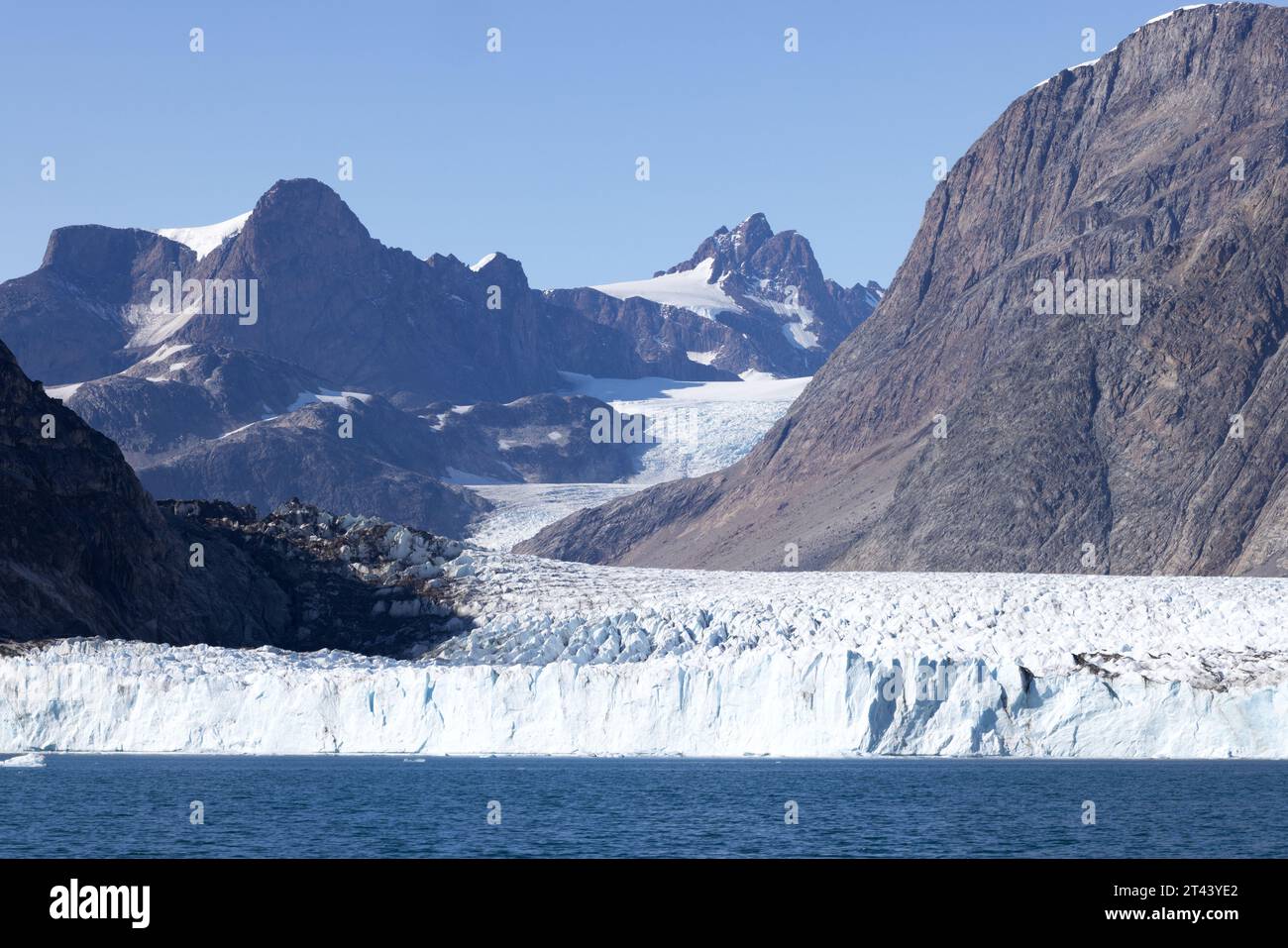 Grönlandgletscher; der Thrym-Gletscher am Ende des Skjoldungen Fjords, Ostgrönland, an einem sonnigen Tag im Sommer; Grönlandreise. Arktische Reise. Stockfoto