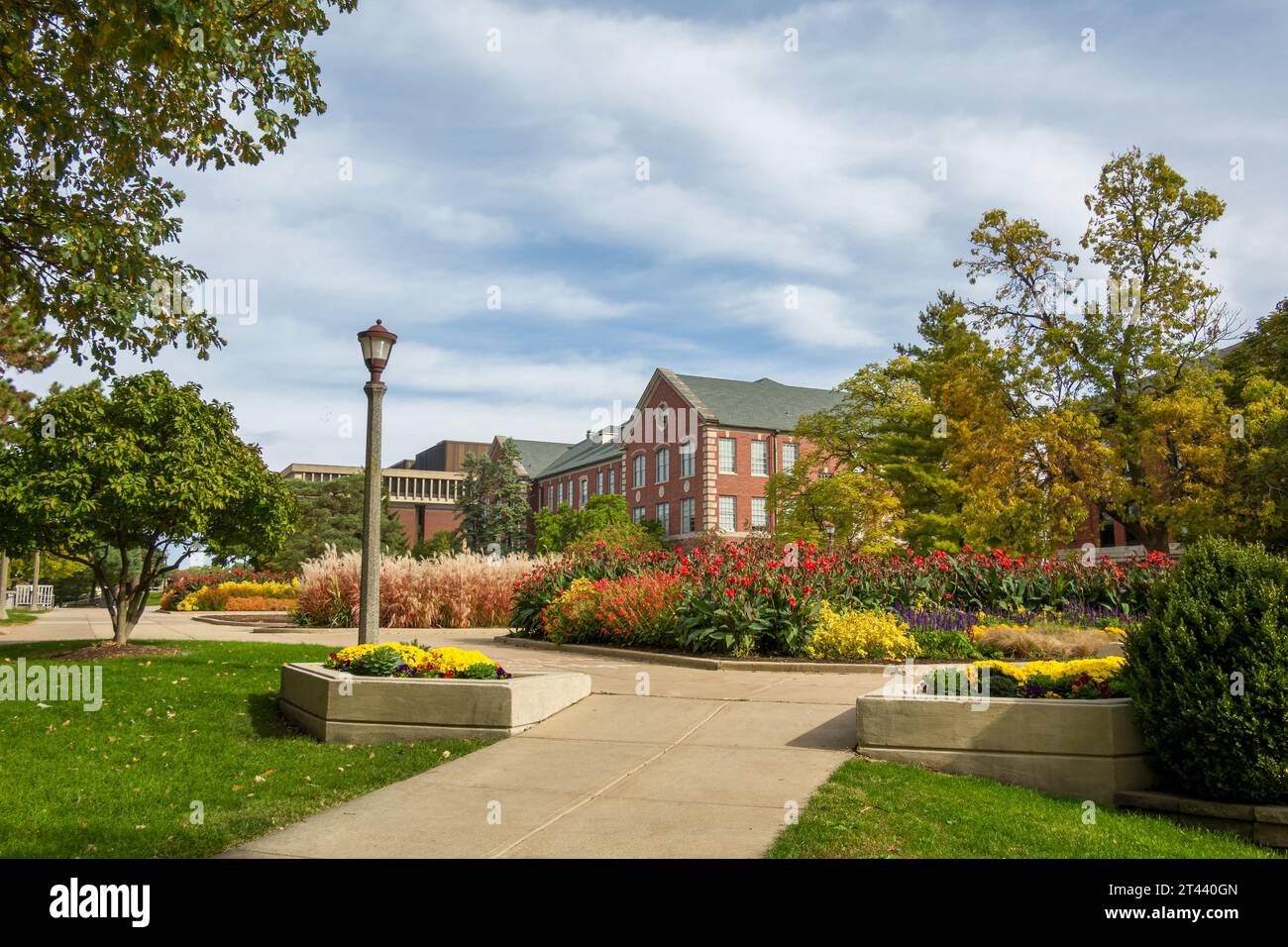 NORMAL, IL, USA - 18. OKTOBER 2023: Blühende Gärtnereien auf dem Campus der Illinois State University. Stockfoto