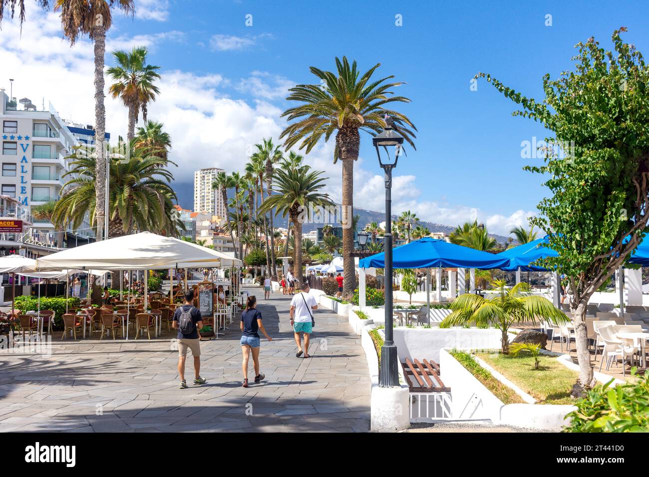 Uferpromenade, Avenue de Cristobal Colón, Puerto de la Cruz, Teneriffa, Kanarische Inseln, Königreich Spanien Stockfoto