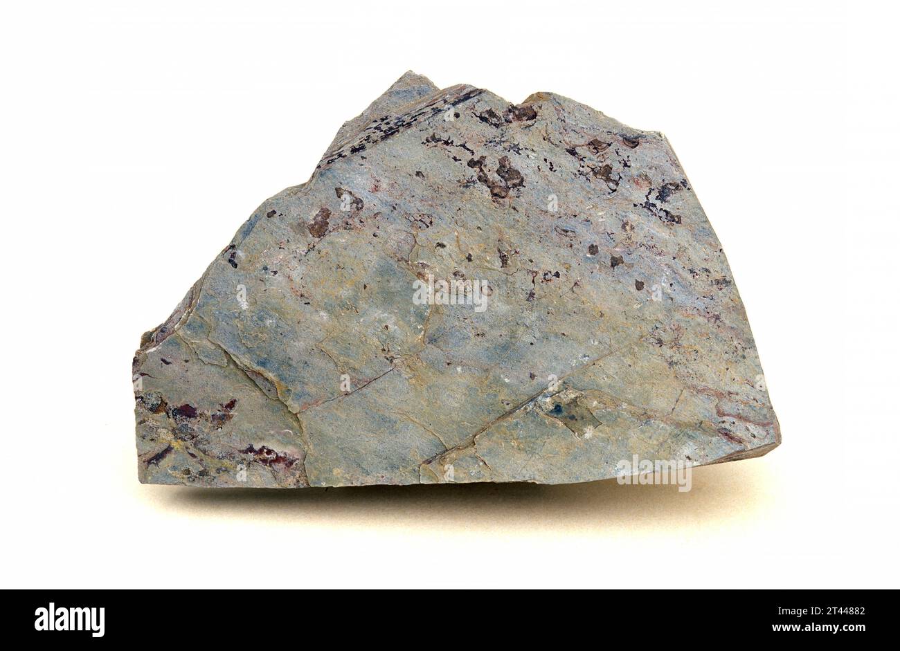 Schiefer ist ein metamorphes Gestein mit Foliation (schistose Textur). Probe. Stockfoto