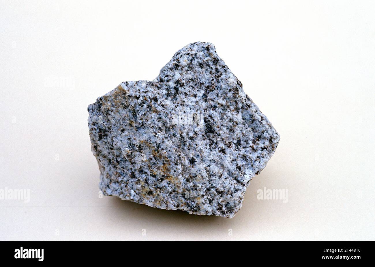 Tonalit oder Quarzdiorit ist ein intrusives, igneöses Gestein. Probe. Stockfoto