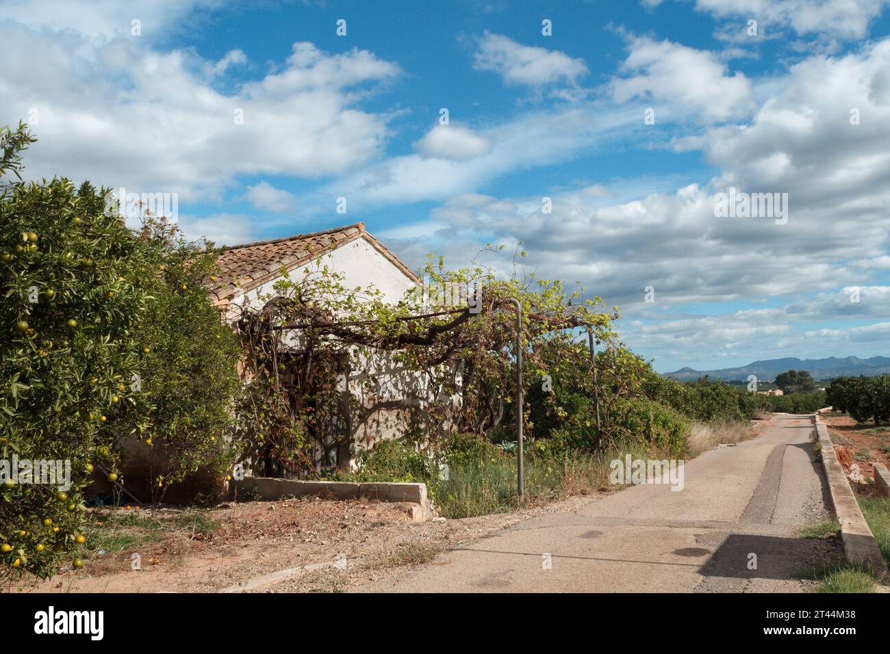 Landschaft mit Orangenplantagen in Sellent mit verlassenen Kasernen, Spanien Stockfoto