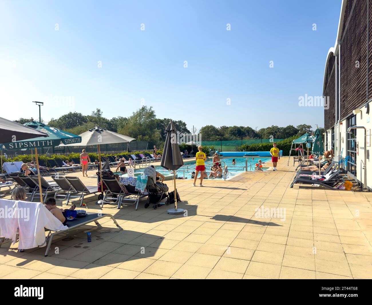 Swimmingpool (im Freien) im David Lloyd Hampton Club, Staines Road, Twickenham, Borough of Richmond upon Thames, Greater London, England, Vereinigtes Königreich Stockfoto