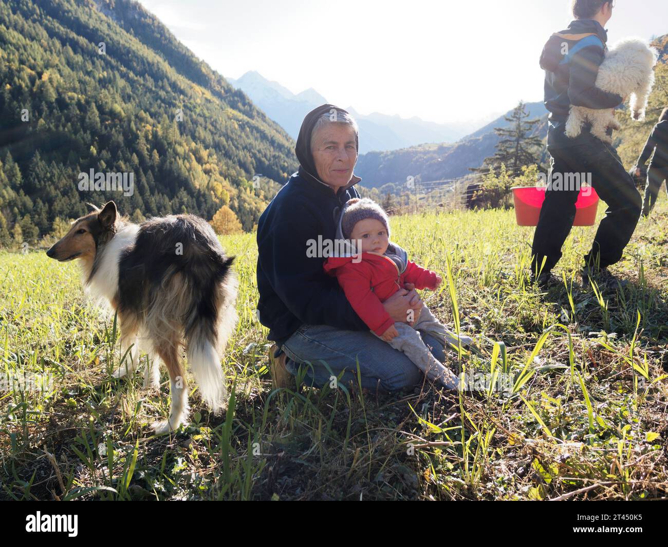 Großmutter hält während der Kartoffelernte einen Enkel neben einem Shetland Sheepdog auf einem Feld im Aostatal NW Italien. Oktober 2023 Stockfoto