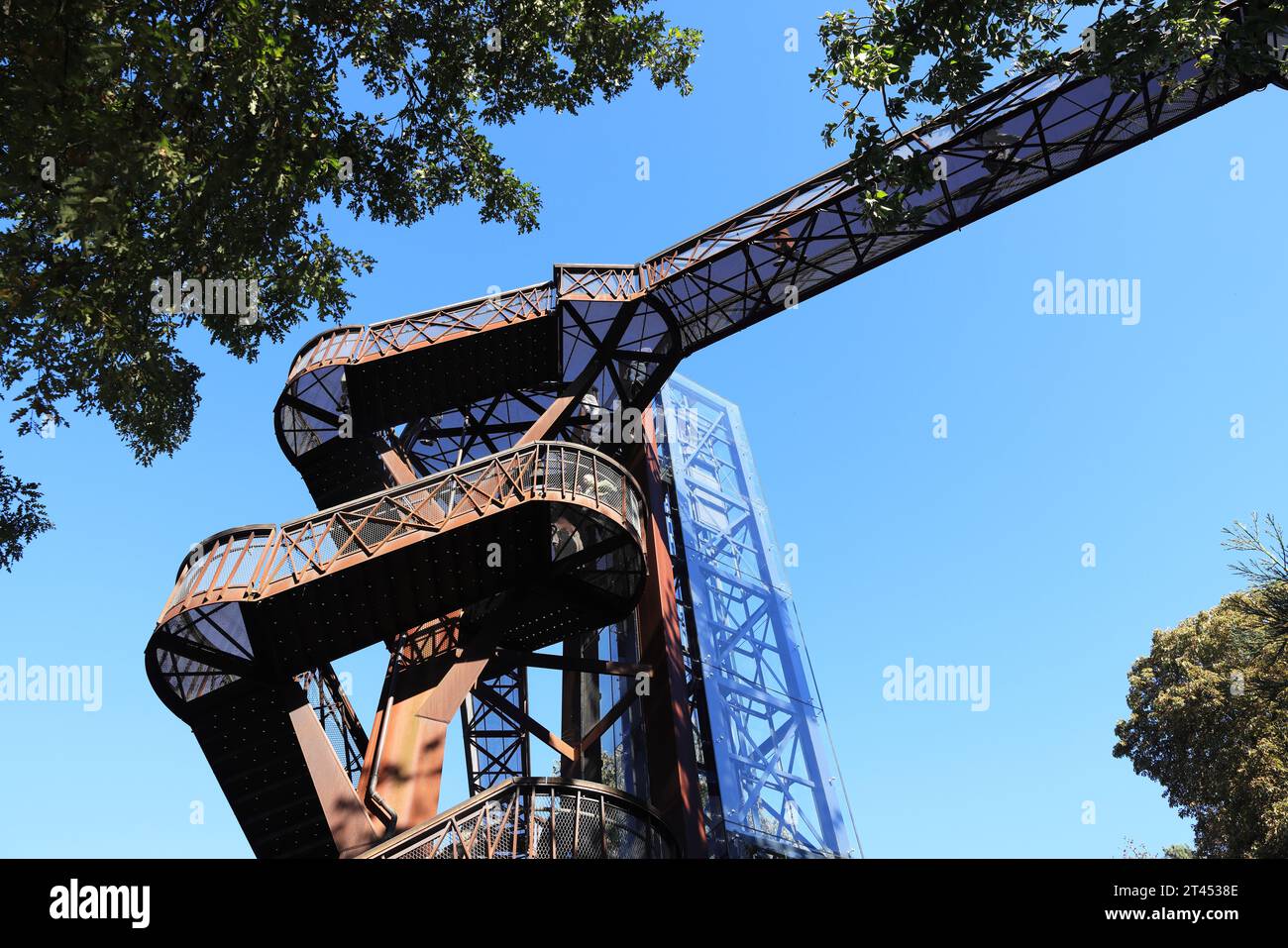 Kew Garden's Treetop Walkway in der Herbstsonne in SW London, Großbritannien Stockfoto