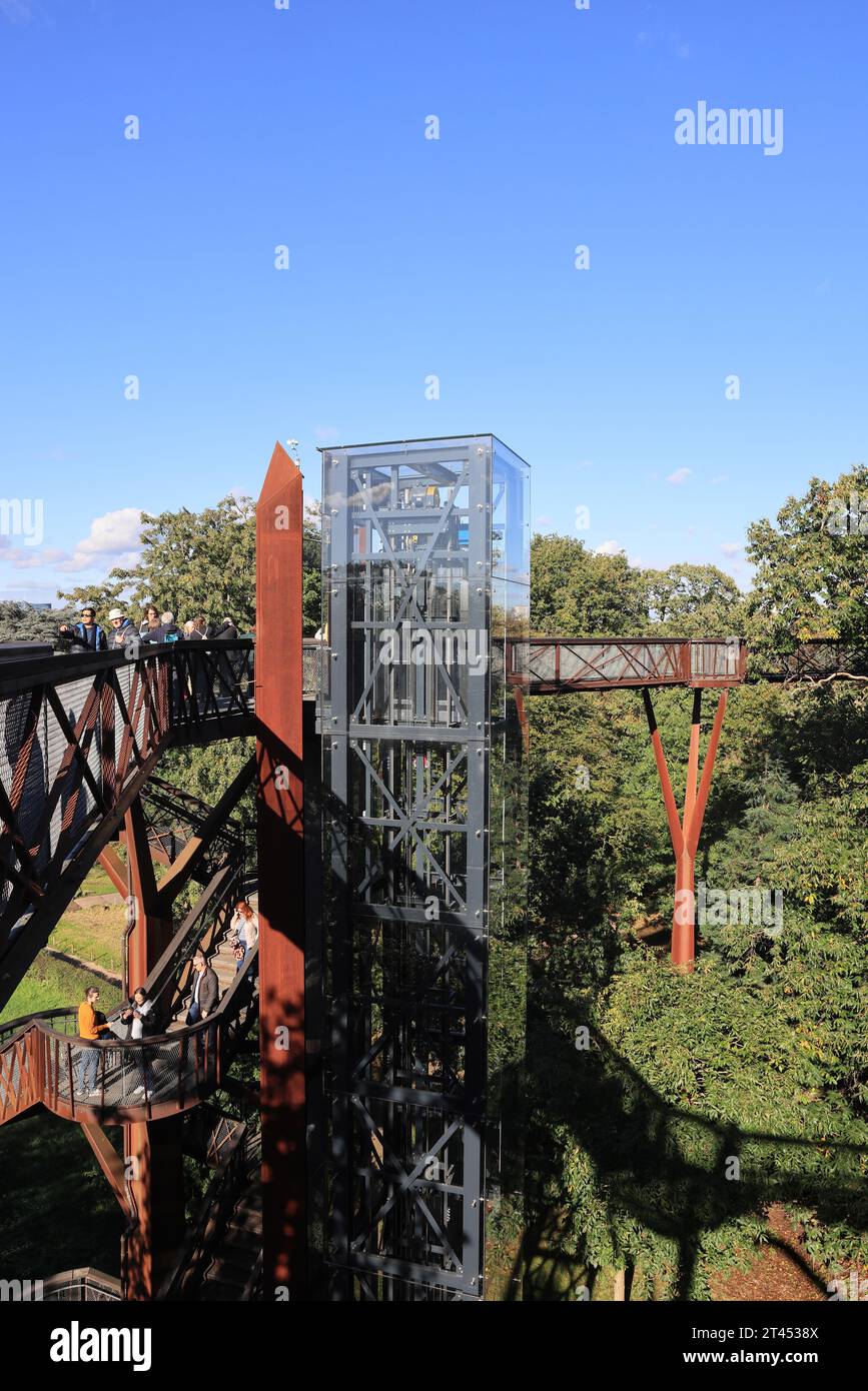 Kew Garden's Treetop Walkway in der Herbstsonne in SW London, Großbritannien Stockfoto