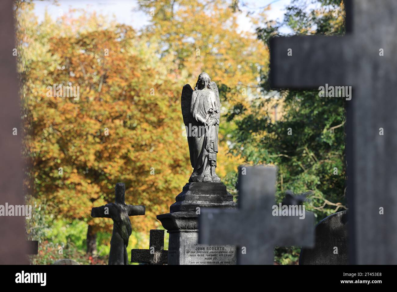 Herbstfarben auf dem historischen Brompton Cemetery, der erstmals 1840 geweiht wurde, einem der prächtigen Seven Cemeteries in London, Großbritannien Stockfoto