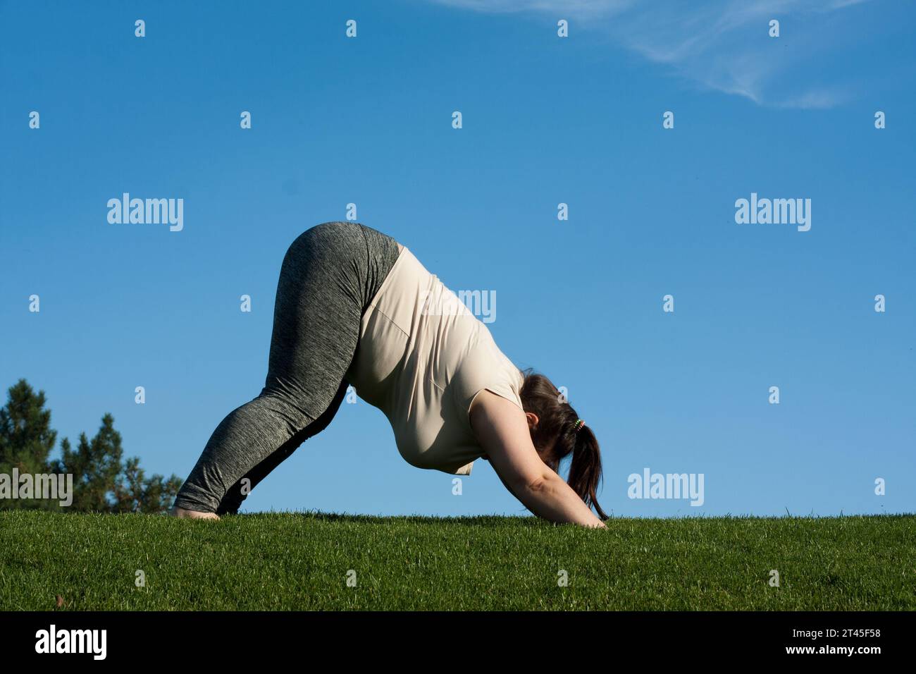 Übergewichtige Frau mittleren Alters übt Yoga im Park, blauer Himmel Hintergrund. Fette Frau, die nach unten blickt, Hundetraining macht, Adho Mukha svanasana Pose. Hea Stockfoto
