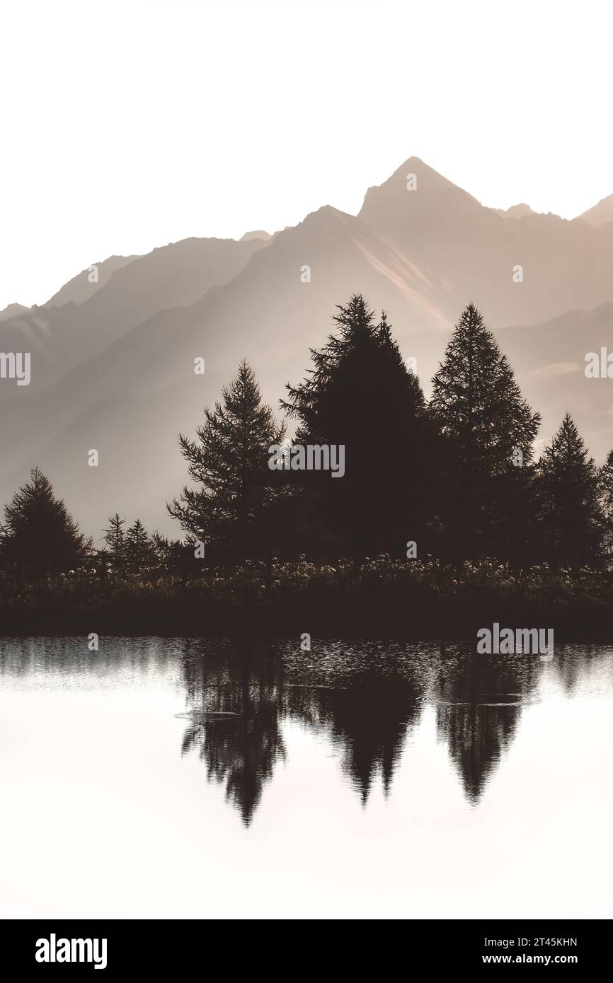 Schwarzweißfoto des Lago Di Joux, kleiner See in den italienischen Alpen, Silhouetten von Tannen reflektieren im Wasser, Berge im Hintergrund, Sepia Stockfoto