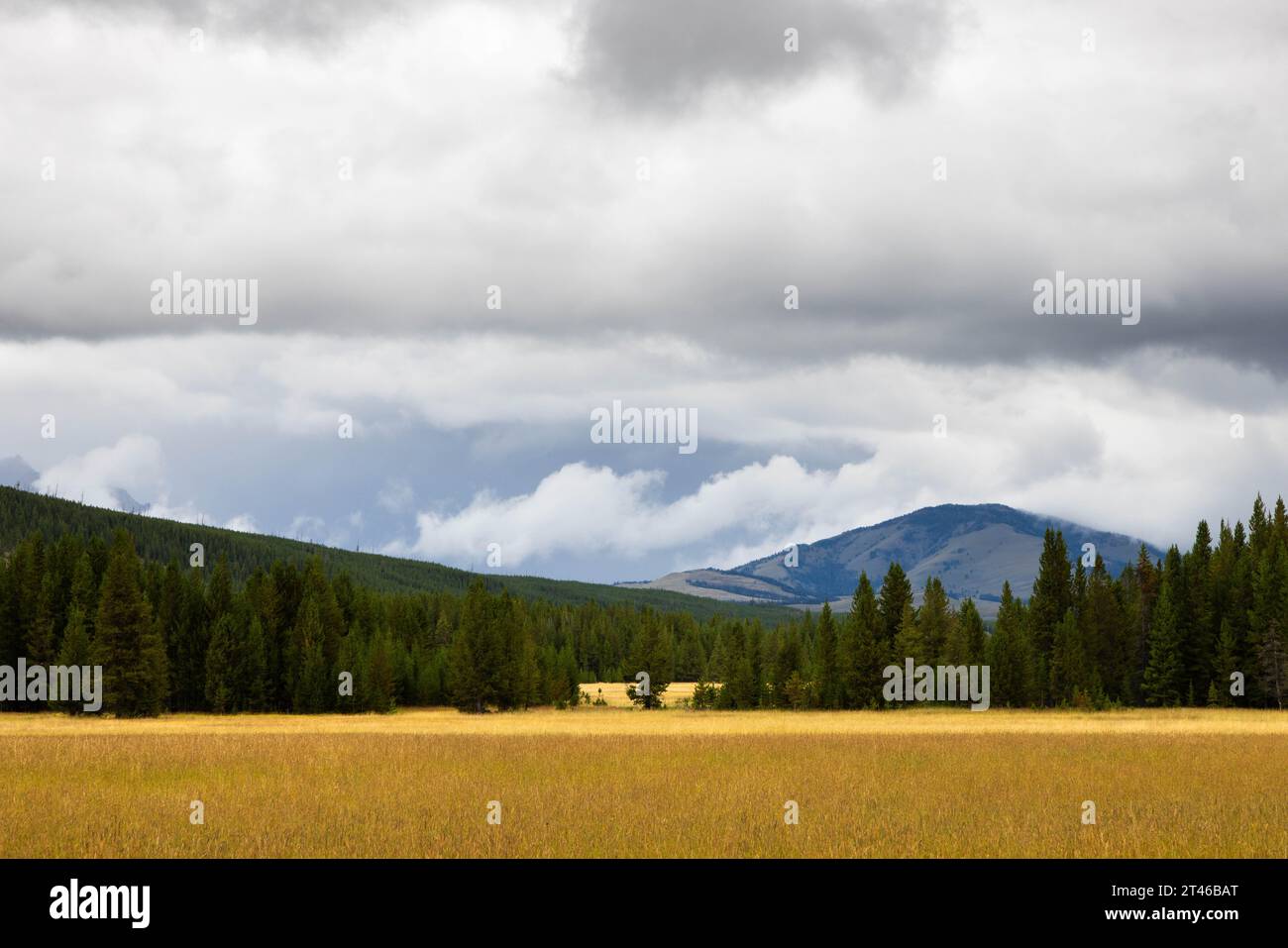 Stürmisches Wetter über einer großen Wiese und den Gallatin Mountains in der Ferne entlang des Mount Holmes Trail. Yellowstone-Nationalpark, Wyomin Stockfoto